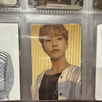 세븐틴 호시 트레이딩 카드