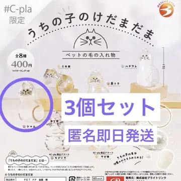 우리 아이의 캣토이 샴 3개 세트