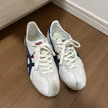 오니츠카타이거