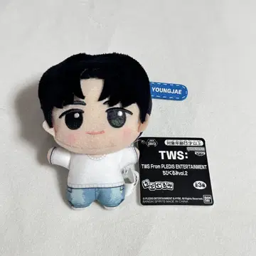 TWS SD 인형 용제