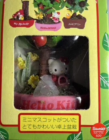 초레어 산리오 키티 hello kitty 분재 BONSAI