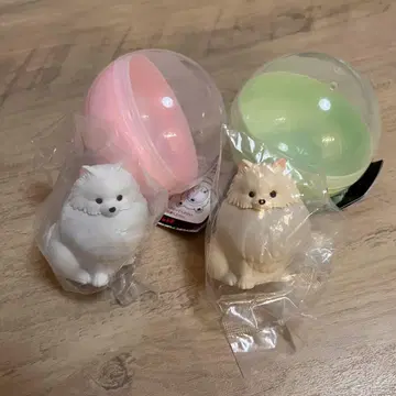 포메 라이트 화이트 크림