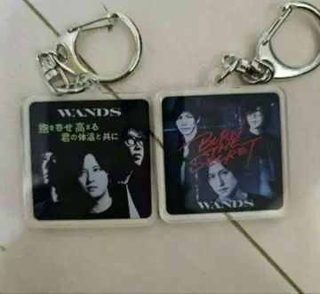 WANDS ~TIME STEW~ 랜덤 키링 우에하라 다이스케 지그재그