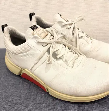 에코 에코 BIOM H4 스파이크리스 26.5cm /EU42