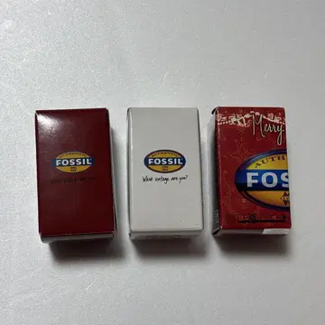 베어브릭 FOSSIL 파슬 3개 세트 미개봉