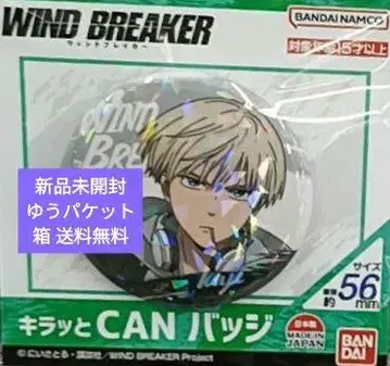 WIND BREAKER 반짝 CAN 배지 04 카지 렌