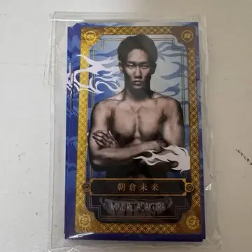초RIZIN.3 선수 카드