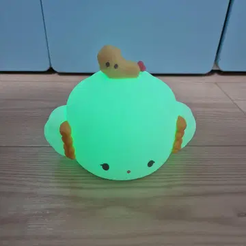 코기뮨 룸 라이트
