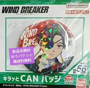 WIND BREAKER 반짝 CAN 배지 02 소호 하야토