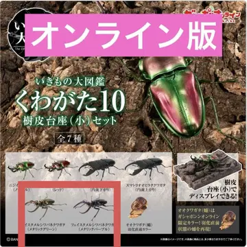 [ 생물대도감 사슴벌레 10 ] 페이스타멜시와바네사슴벌레 2종 온라인판