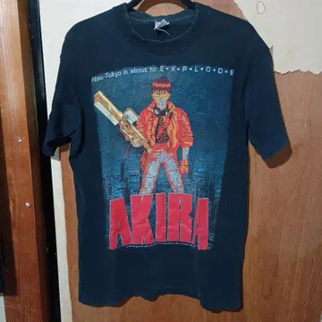 AKIRA L 상당 1988년제 후르츠 오브 더 룸 USA제