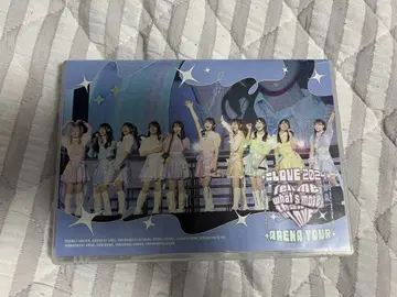 =LOVE 아레나 투어 2024 DVD 초회 한정판