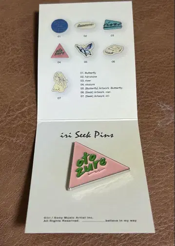 iri seek pins
