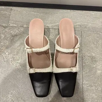 헤르립토 마드모아젤 머들 37