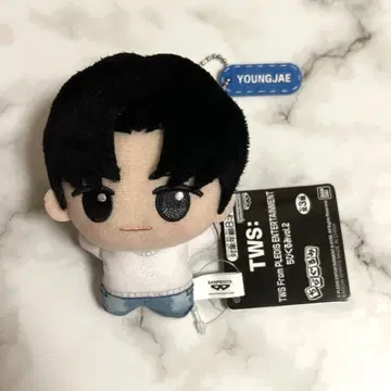 TWS SD 인형 용제