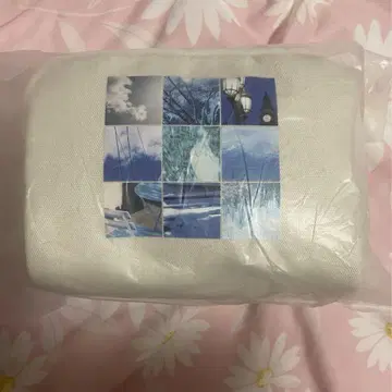 교모토 다이가의 관점과 출발점 파우치