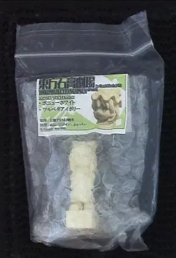 Gypsum 논스케일 하쿠레이 레이무