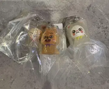 스키즈 SKZOO 메지루시 액세서리 3개 세트