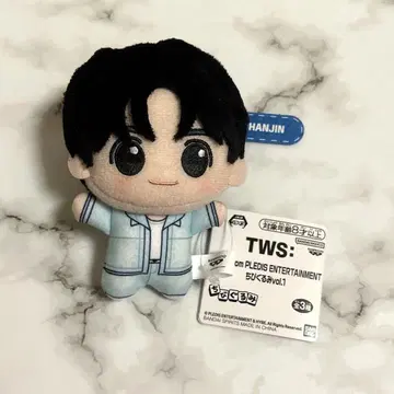 TWS SD 인형 한진