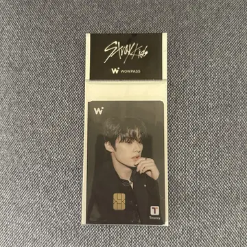 스트레이키즈 와우패스 리노