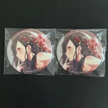 프로세카 시로이시 안