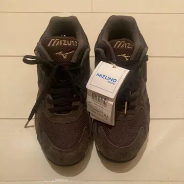 Mizuno 캐주얼 슈즈 스카이 메달 D1GA192355 25.0cm