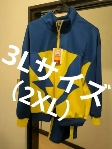이나즈마 일레븐 시마무라 레이몬 중 저리 상하의 3L 레이몬 중 셋업