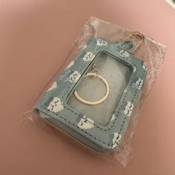 치이카와 시마무라 하치와레 키케이스