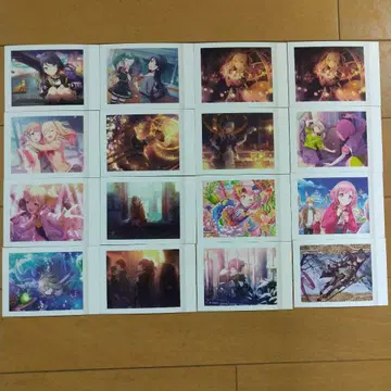 프로세카 파샤코레 vol.5