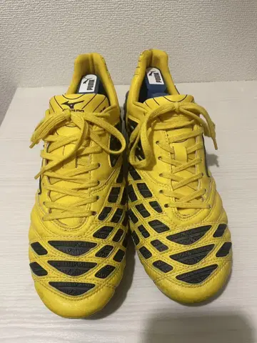 MIZUNO 웨이브 이그니타스 [27.5cm]