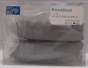 BIGWEST 1/72 Excelsus YF-19 패스트 팩 세트
