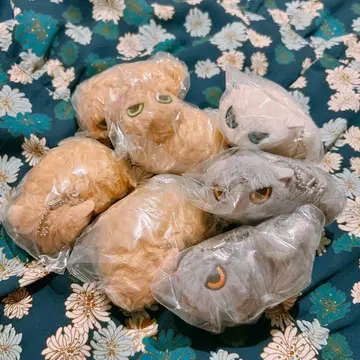 나츠카이 고양이 봉제 인형 가챠