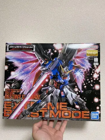 MG 1/100 데스티니 건담 익스트림 블라스트 모드