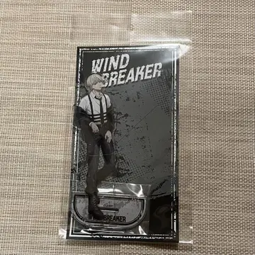WINDBREAKER 트리 빌리지 카지 렌 아크릴 스탠드