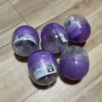 근사한 막대기를 겟한 강아지 닥스 5세트
