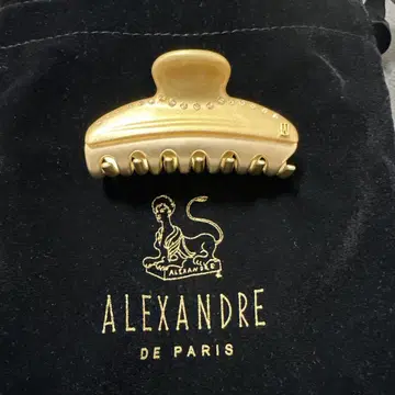 ALEXANDRE DE PARIS 골드 헤어 클립