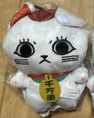 단다단 찌미도 누이 터보 할머니