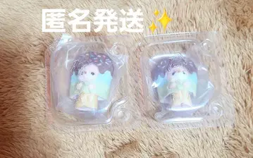 실바니안 패밀리 딜리셔스 퍼레이드 G상 시크릿 2개 세트