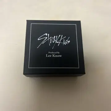 straykids Lee Know 반지