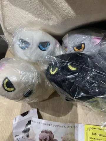 귀여운 고양이 봉제 인형 4개 세트