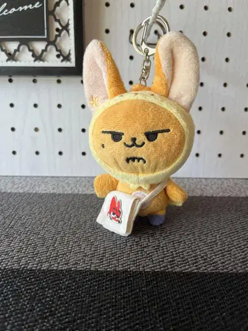 TXT 뿔바투 키링 봉제 의류 여우 사선 가케 백