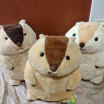 마모트의 모토토 봉제 인형 3개 세트