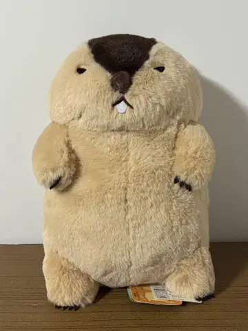 마모트의 모토토 울트라 BIG 봉제 인형 하마모토