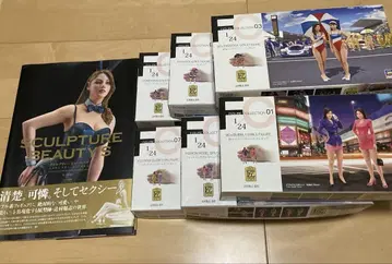 FIGURE COLLECTION과 도서 세트