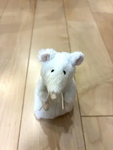 이케아 쥐