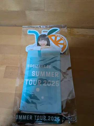 개별 티켓 홀더/한여름의 전국 투어 2025 마스다 미리네 [미개봉품]