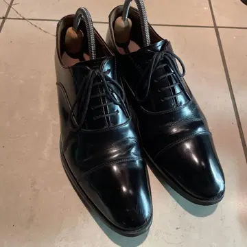 레갈 25cm