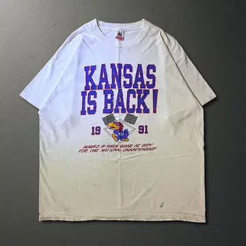 90년대 프룻 오브 더 룸 KANSAS 티셔츠 캔자스 싱글 스티치