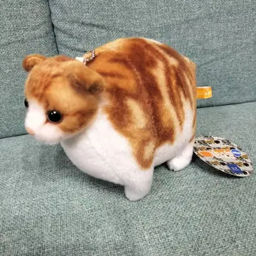 후토치 Zoo 냥코 mini2 봉제 인형