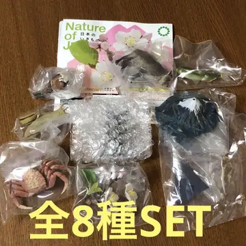 Nature of Japan 일본의 생물 03 전 8종 세트